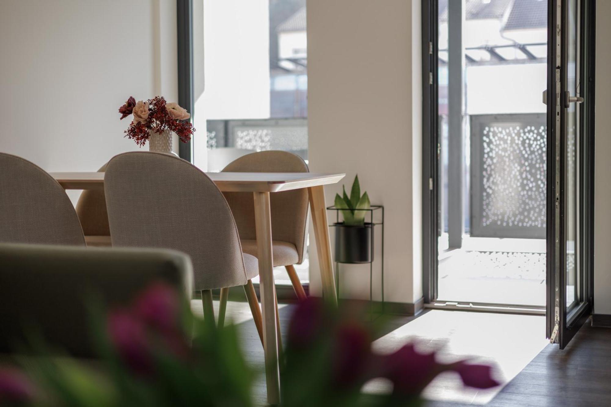 Mladá Boleslav River Apartments المظهر الخارجي الصورة